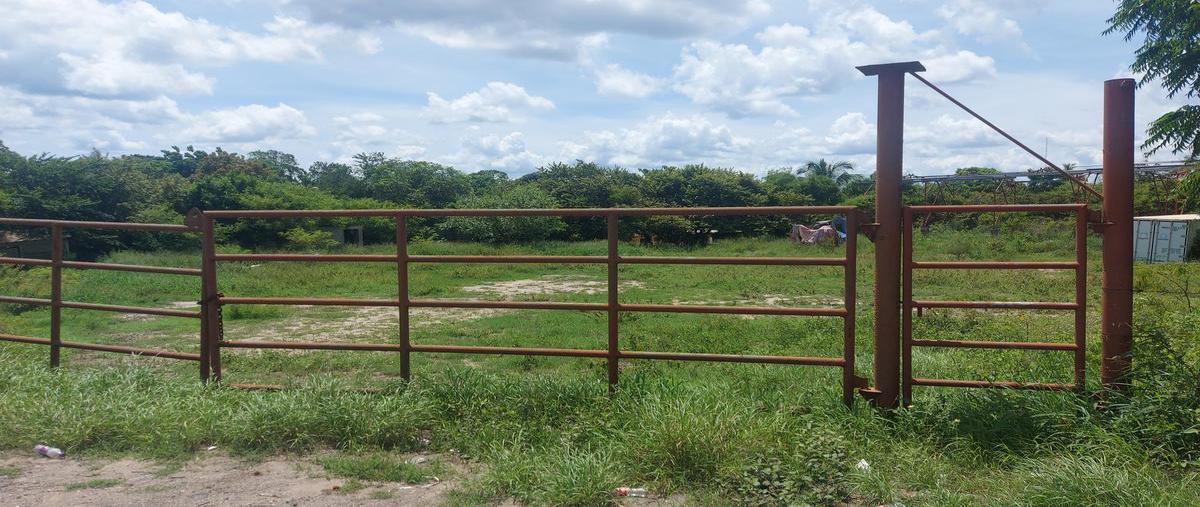 Foto de terreno comercial en carretera tampico - mante , alameda, altamira, tamaulipas, 25588827 foto 02 Foto de terreno comercial en renta en carretera tampico - mante , alameda, altamira, tamaulipas, 25588827 No. 02