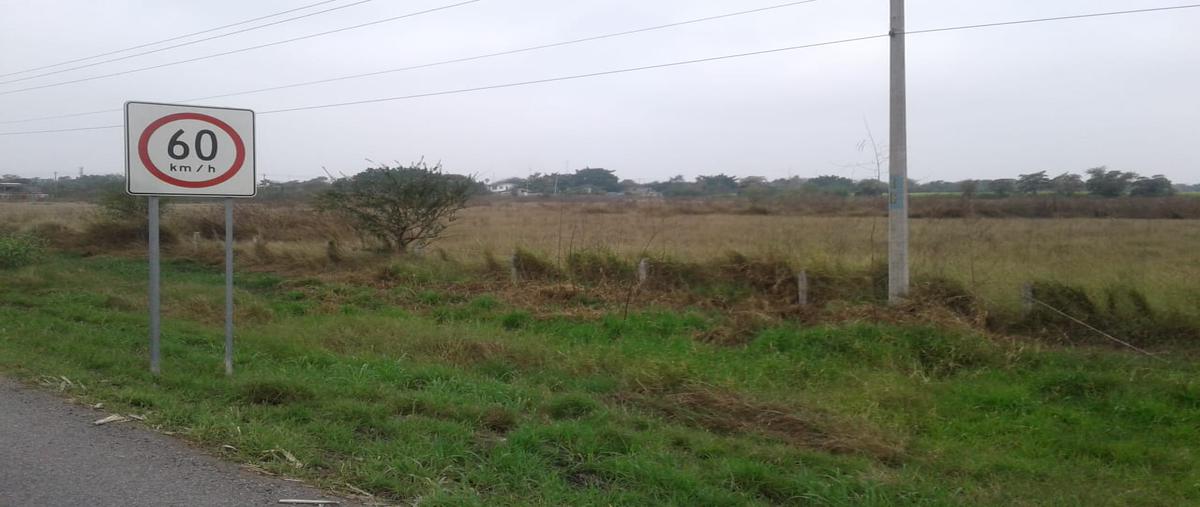 Foto de terreno comercial en carretera tampico mante , ciudad mante centro, el mante, tamaulipas, 0 foto 04 Foto de terreno comercial en venta en carretera tampico mante , ciudad mante centro, el mante, tamaulipas, 0 No. 04