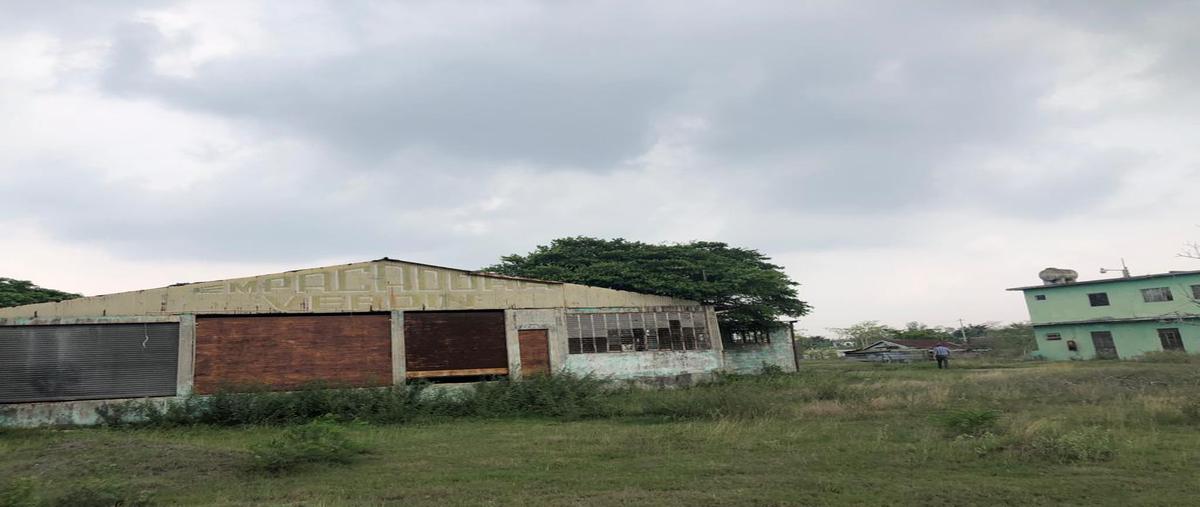 Foto de terreno comercial en carretera tampico- mante ctv2761e , altamira sector ii, altamira, tamaulipas, 5191660 foto 02 Foto de terreno comercial en venta en carretera tampico- mante ctv2761e , altamira sector ii, altamira, tamaulipas, 5191660 No. 02