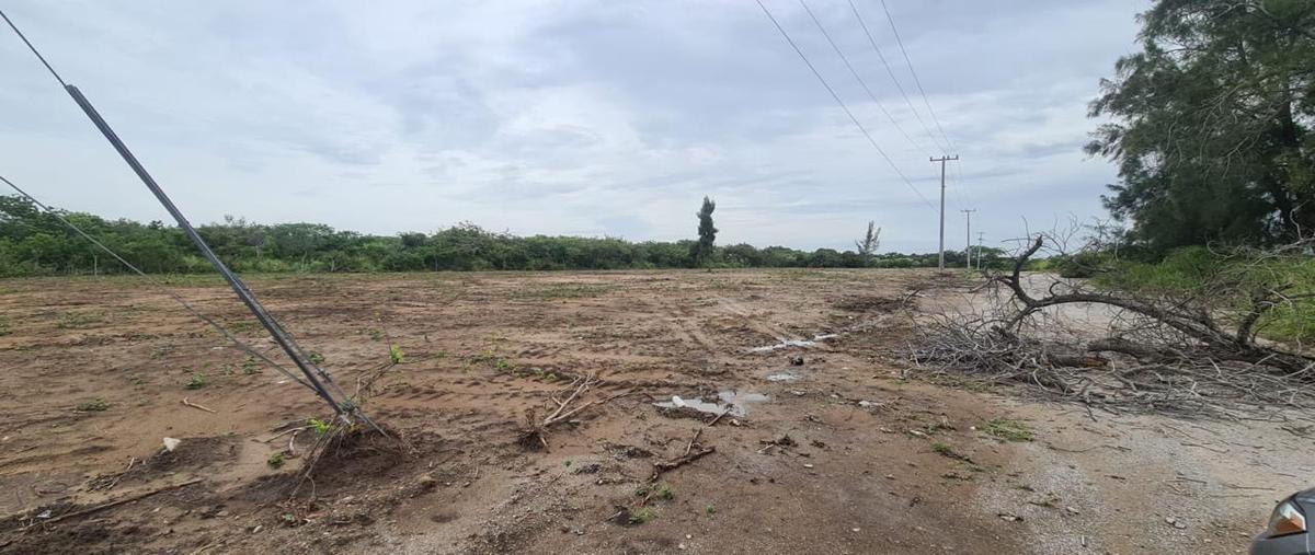 Foto de terreno comercial en renta en carretera tampico mante , emilio portes gil, altamira, tamaulipas, 28657546 No. 04