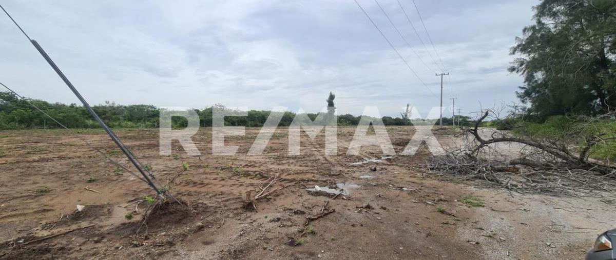 Foto de terreno comercial en renta en carretera tampico mante , emilio portes gil, altamira, tamaulipas, 28657546 No. 04