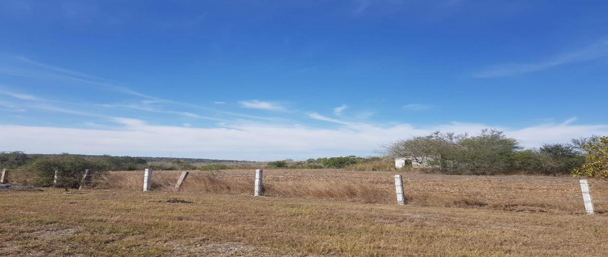 Foto de terreno comercial en carretera tampico mante , maclovio herrera (miradores), altamira, tamaulipas, 23710273 foto 03 Foto de terreno comercial en venta en carretera tampico mante , maclovio herrera (miradores), altamira, tamaulipas, 23710273 No. 03
