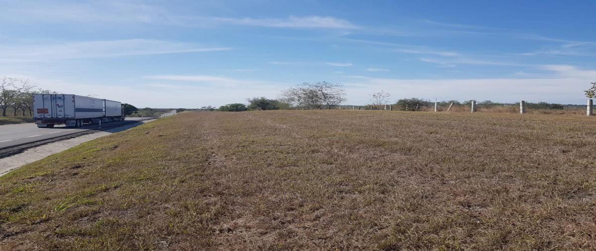 Foto de terreno comercial en carretera tampico mante , maclovio herrera (miradores), altamira, tamaulipas, 23710273 foto 04 Foto de terreno comercial en venta en carretera tampico mante , maclovio herrera (miradores), altamira, tamaulipas, 23710273 No. 04