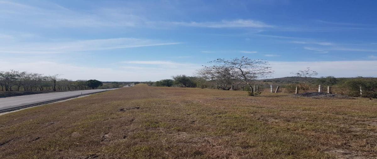 Foto de terreno comercial en carretera tampico mante , maclovio herrera (miradores), altamira, tamaulipas, 23710273 foto 05 Foto de terreno comercial en venta en carretera tampico mante , maclovio herrera (miradores), altamira, tamaulipas, 23710273 No. 05
