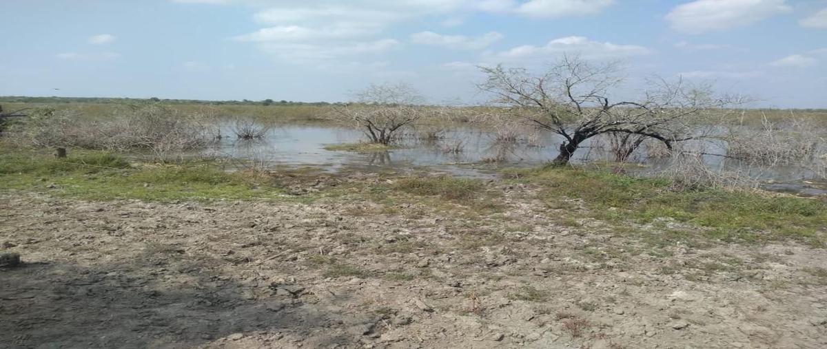 Foto de rancho en carretera tampico mante , san pedro, gonzález, tamaulipas, 28174515 foto 04 Foto de rancho en venta en carretera tampico mante , san pedro, gonzález, tamaulipas, 28174515 No. 04