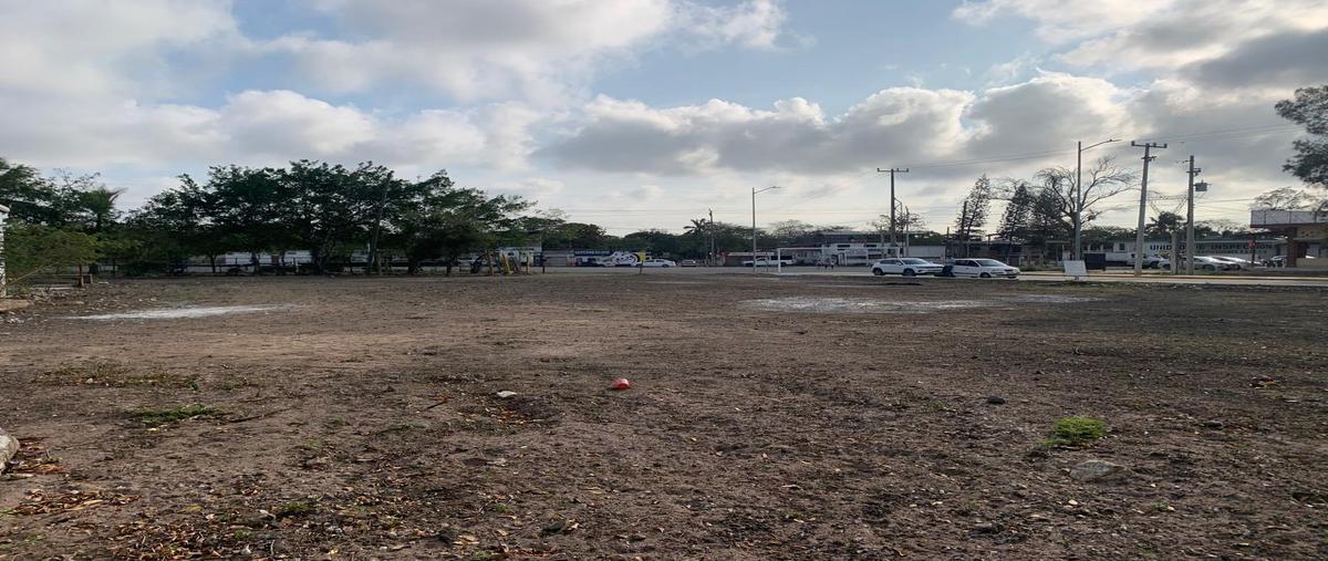 Foto de terreno comercial en carretera tampico mante , santa amalia, altamira, tamaulipas, 27852123 foto 05 Foto de terreno comercial en venta en carretera tampico mante , santa amalia, altamira, tamaulipas, 27852123 No. 05