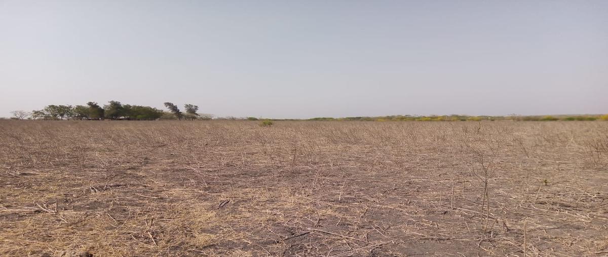 Foto de rancho en venta en carretera tampico valles , panuco centro, pánuco, veracruz de ignacio de la llave, 25419485 No. 04