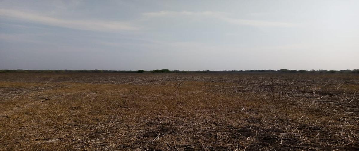 Foto de rancho en venta en carretera tampico valles , panuco centro, pánuco, veracruz de ignacio de la llave, 25419485 No. 05