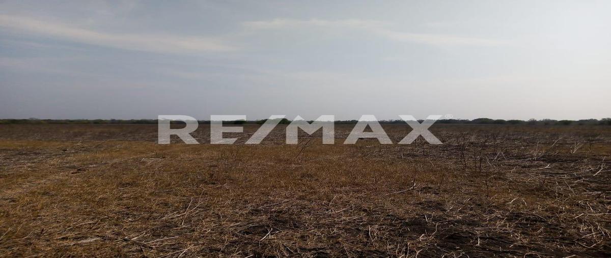 Foto de rancho en venta en carretera tampico valles , panuco centro, pánuco, veracruz de ignacio de la llave, 0 No. 05
