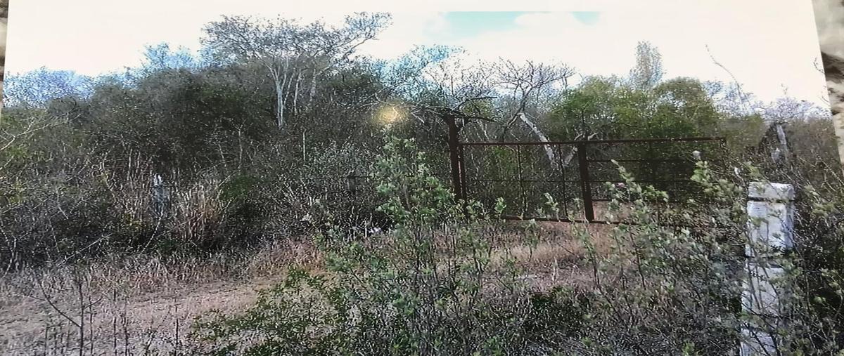 Foto de rancho en venta en carretera tampico-mante , mante, el mante, tamaulipas, 0 No. 03