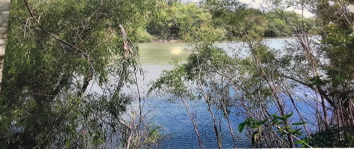 Foto de rancho en venta en carretera tampico-mante , mante, el mante, tamaulipas, 0 No. 04