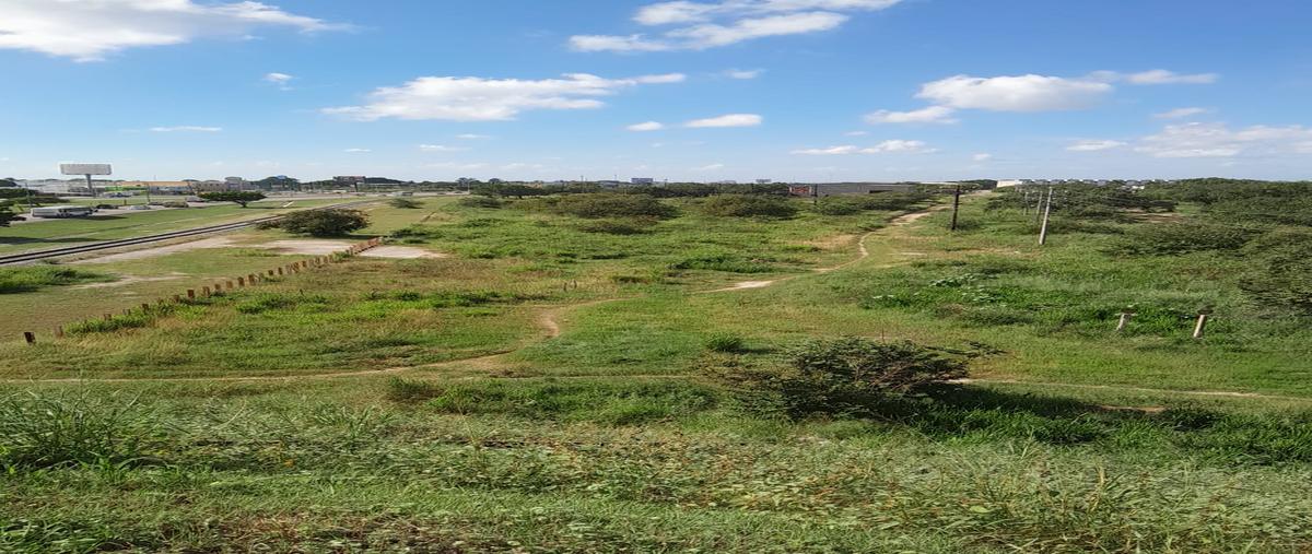 Foto de terreno comercial en venta en carretera tampico-mante , miramar, altamira, tamaulipas, 27285743 No. 03