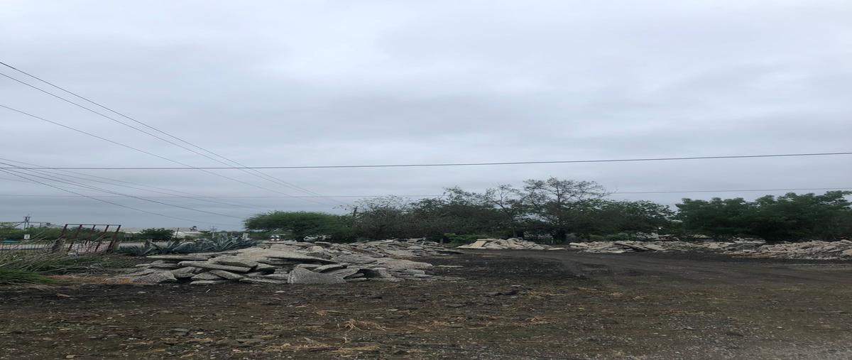 Foto de terreno comercial en venta en carretera tampico-mante , nuevo cereso regional de altamira, altamira, tamaulipas, 28173908 No. 05