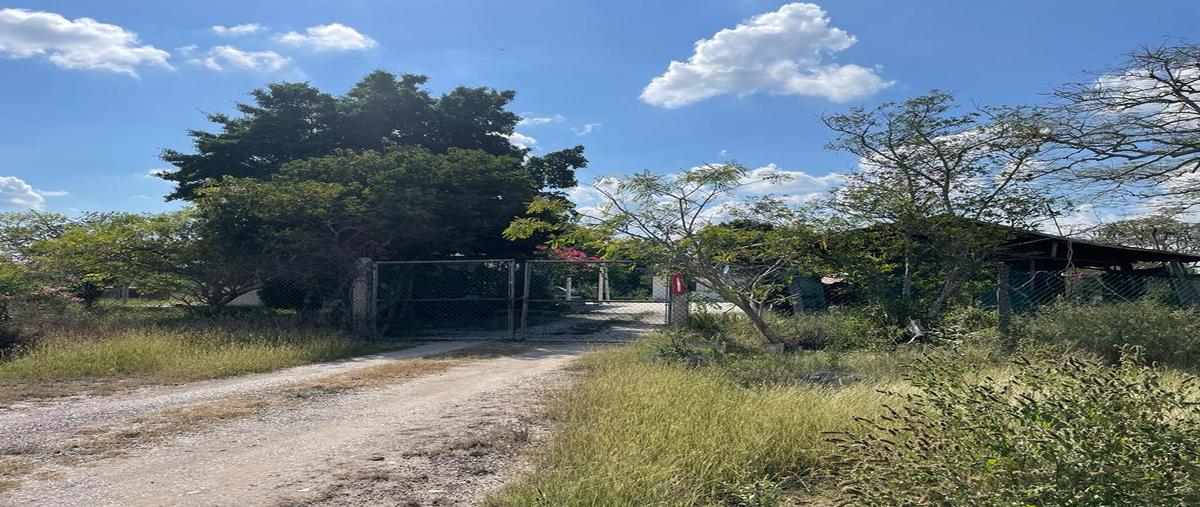 Foto de rancho en carretera tampico-mante , santa gertrudis, altamira, tamaulipas, 23414473 foto 02 Foto de rancho en venta en carretera tampico-mante , santa gertrudis, altamira, tamaulipas, 23414473 No. 02