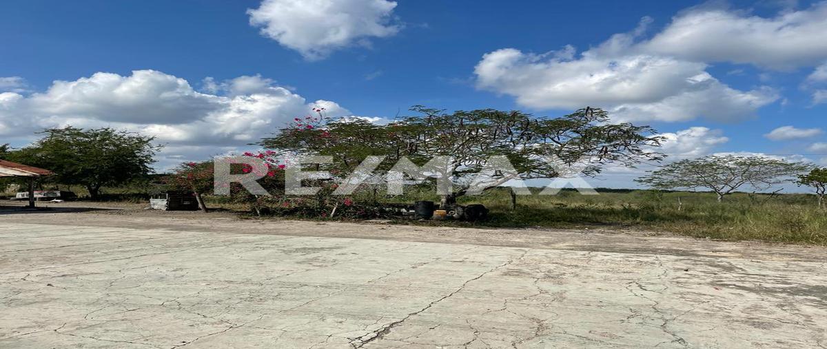 Foto de terreno comercial en carretera tampico-mante , santa gertrudis, altamira, tamaulipas, 24757844 foto 03 Foto de terreno comercial en venta en carretera tampico-mante , santa gertrudis, altamira, tamaulipas, 24757844 No. 03