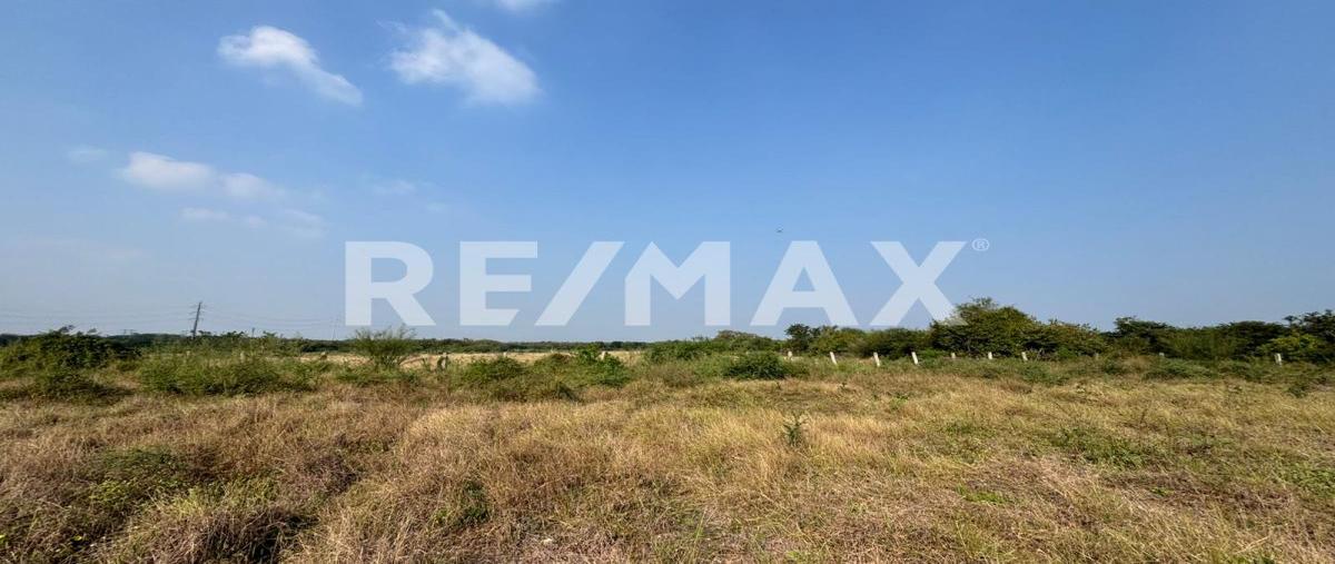 Foto de terreno industrial en venta en carretera tampico-poza rica , santa amalia, altamira, tamaulipas, 0 No. 04