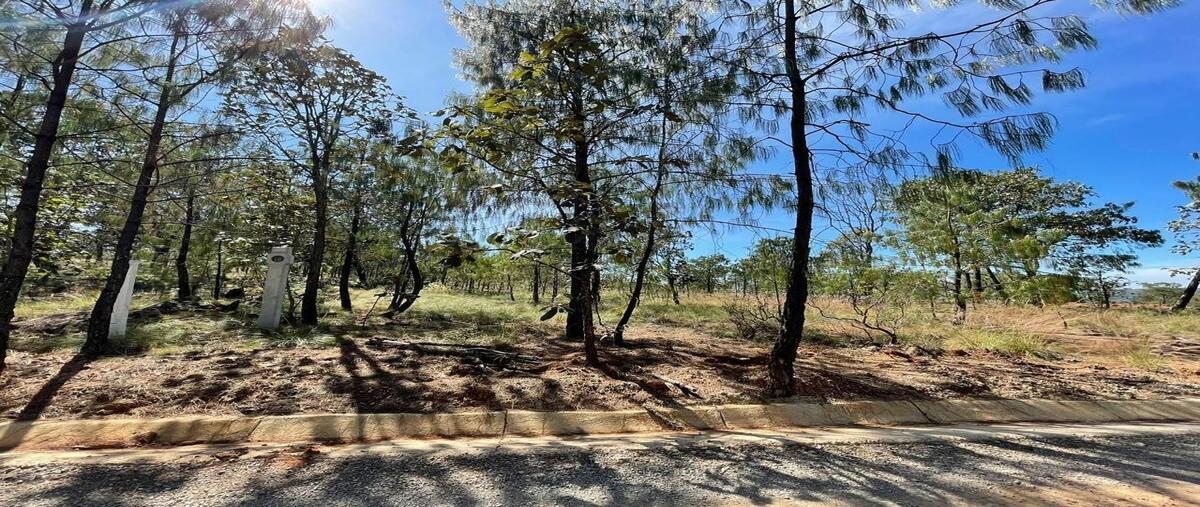 Foto de terreno habitacional en carretera tapalpa - chiquilistlan , tapalpa, tapalpa, jalisco, 0 foto 03 Foto de terreno habitacional en venta en carretera tapalpa - chiquilistlan , tapalpa, tapalpa, jalisco, 0 No. 03