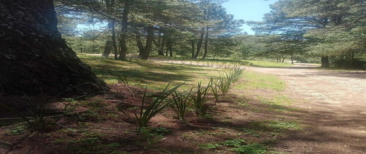 Foto de terreno habitacional en venta en carretera tapalpa - guadalajara kilometro 4.9 , tapalpa, tapalpa, jalisco, 0 No. 03