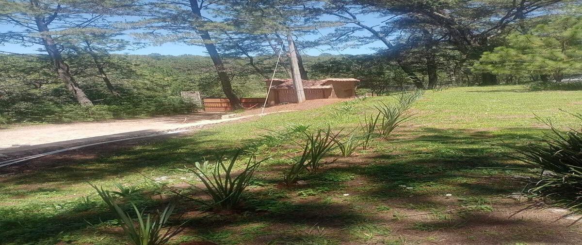 Foto de terreno habitacional en venta en carretera tapalpa - guadalajara kilometro 4.9 , tapalpa, tapalpa, jalisco, 0 No. 04