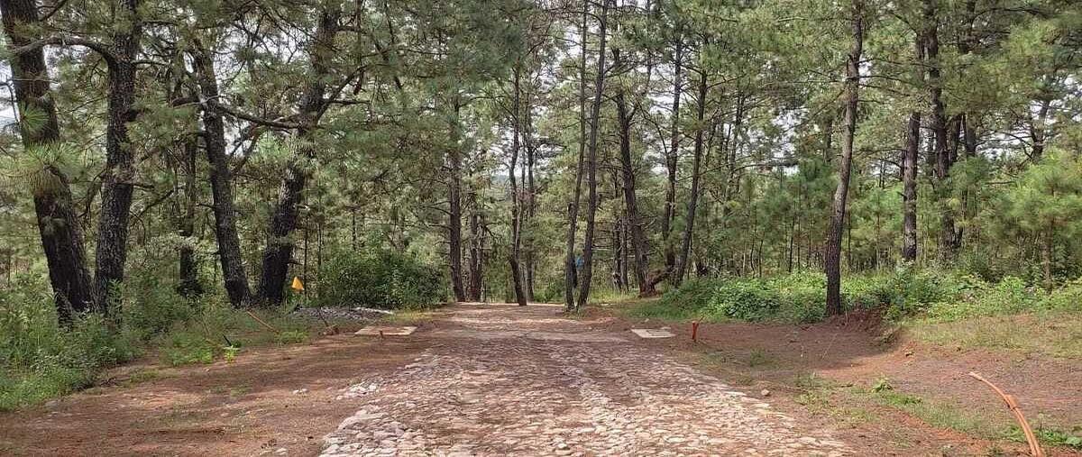 Foto de terreno habitacional en venta en carretera tapalpa - guadalajara kilometro 4.9 , tapalpa, tapalpa, jalisco, 0 No. 05