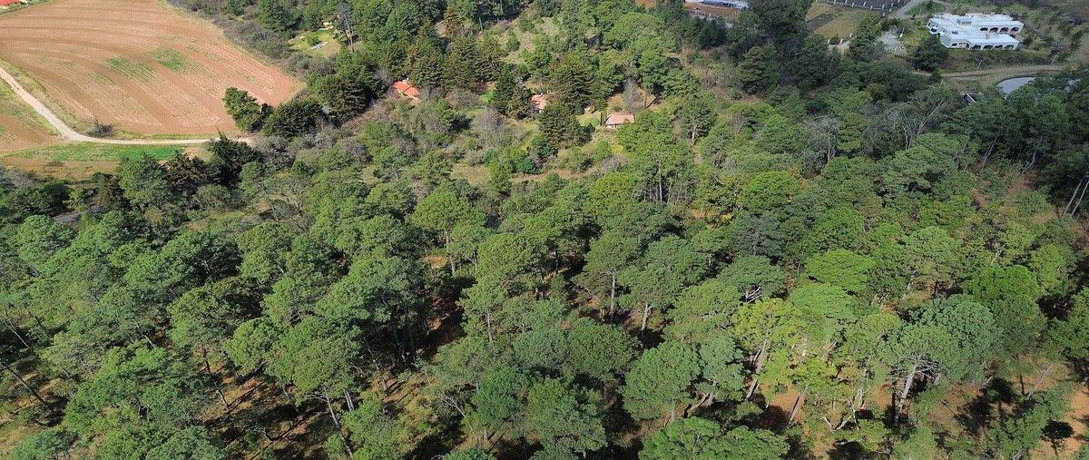 Foto de terreno habitacional en venta en carretera tapalpa-guadalajara , ferreria de tula, tapalpa, jalisco, 0 No. 04