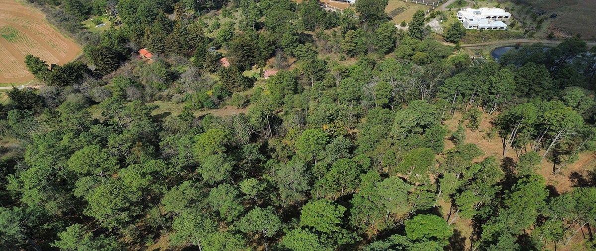 Foto de terreno habitacional en venta en carretera tapalpa-guadalajara , ferreria de tula, tapalpa, jalisco, 0 No. 05