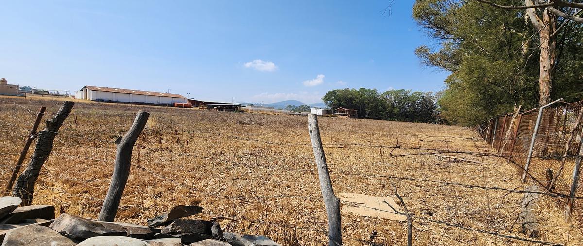 Foto de terreno comercial en carretera tapalpa-guadalajara , san antonio, tapalpa, jalisco, 28202802 foto 02 Foto de terreno comercial en venta en carretera tapalpa-guadalajara , san antonio, tapalpa, jalisco, 28202802 No. 02