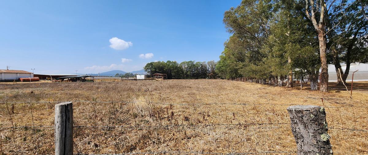 Foto de terreno comercial en carretera tapalpa-guadalajara , san antonio, tapalpa, jalisco, 28202802 foto 04 Foto de terreno comercial en venta en carretera tapalpa-guadalajara , san antonio, tapalpa, jalisco, 28202802 No. 04