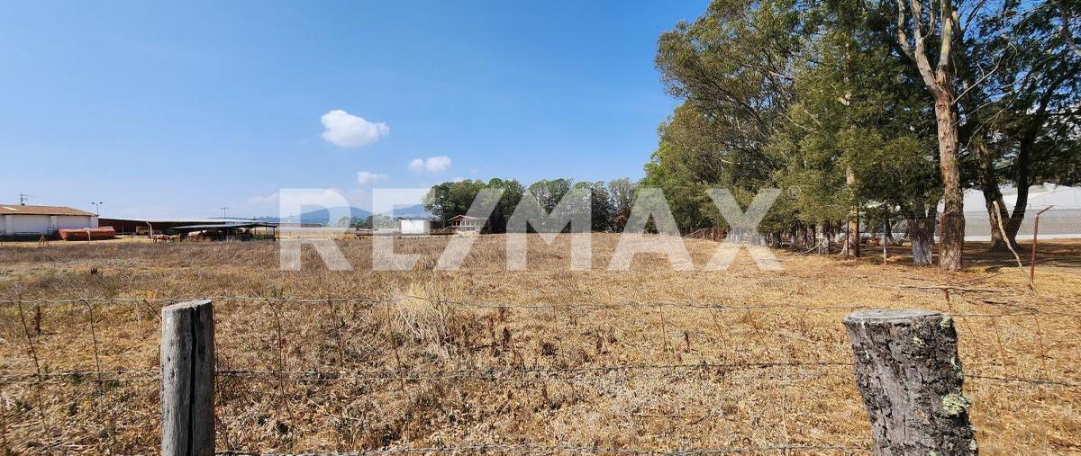 Foto de terreno comercial en venta en carretera tapalpa-guadalajara , san antonio, tapalpa, jalisco, 0 No. 04