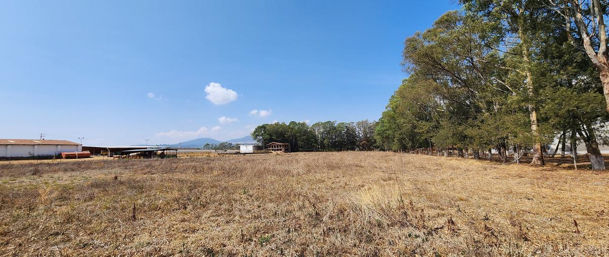 Foto de terreno comercial en carretera tapalpa-guadalajara , san antonio, tapalpa, jalisco, 28202802 foto 05 Foto de terreno comercial en venta en carretera tapalpa-guadalajara , san antonio, tapalpa, jalisco, 28202802 No. 05