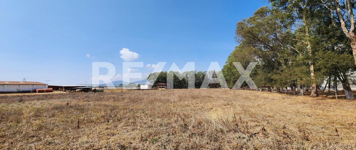 Foto de terreno comercial en venta en carretera tapalpa-guadalajara , san antonio, tapalpa, jalisco, 0 No. 05