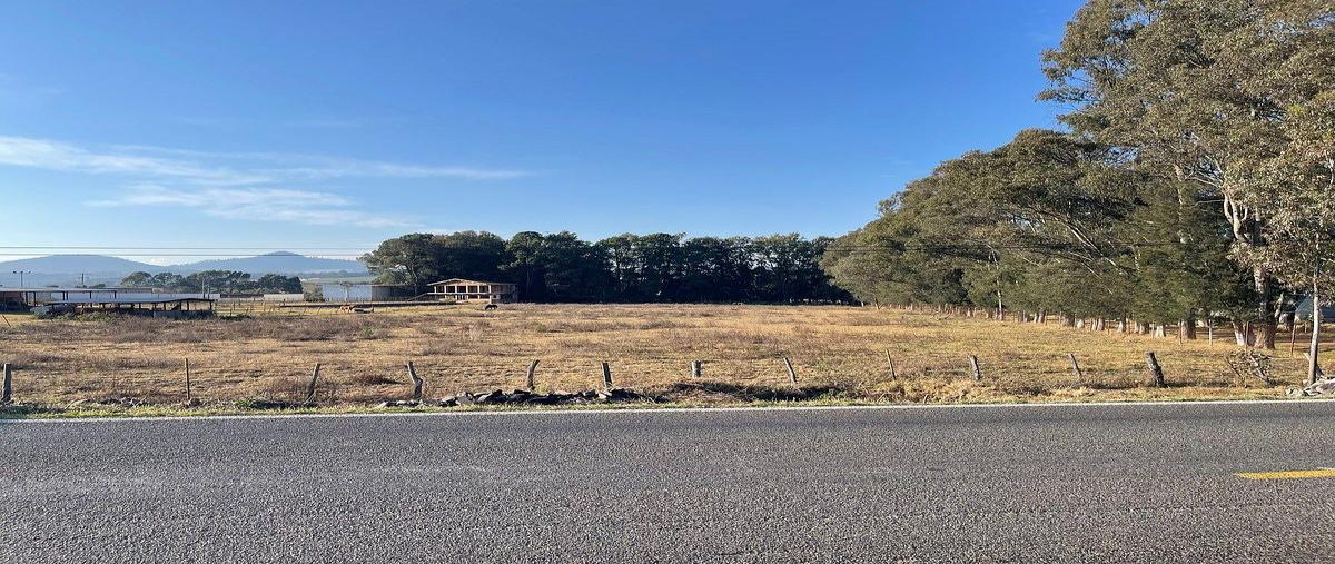 Foto de terreno habitacional en venta en carretera tapalpa-guadalajara , san antonio, tapalpa, jalisco, 0 No. 03