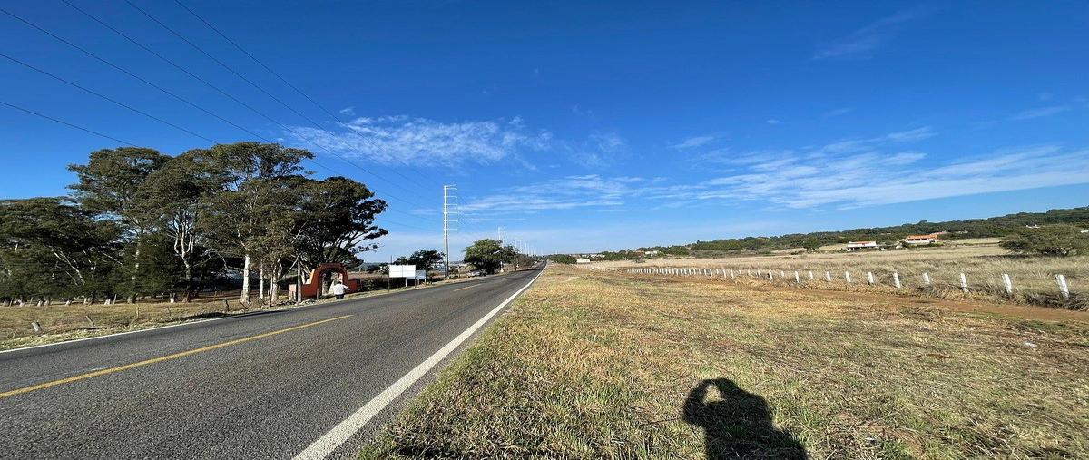 Foto de terreno habitacional en venta en carretera tapalpa-guadalajara , san antonio, tapalpa, jalisco, 0 No. 04