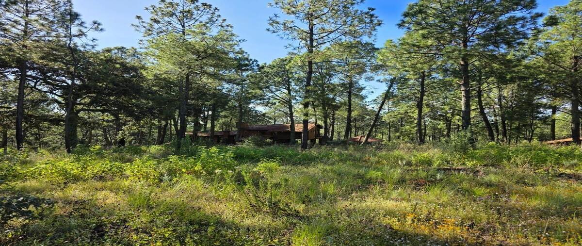 Foto de terreno habitacional en venta en carretera tapalpa-san gabriel , tapalpa, tapalpa, jalisco, 30791669 No. 03