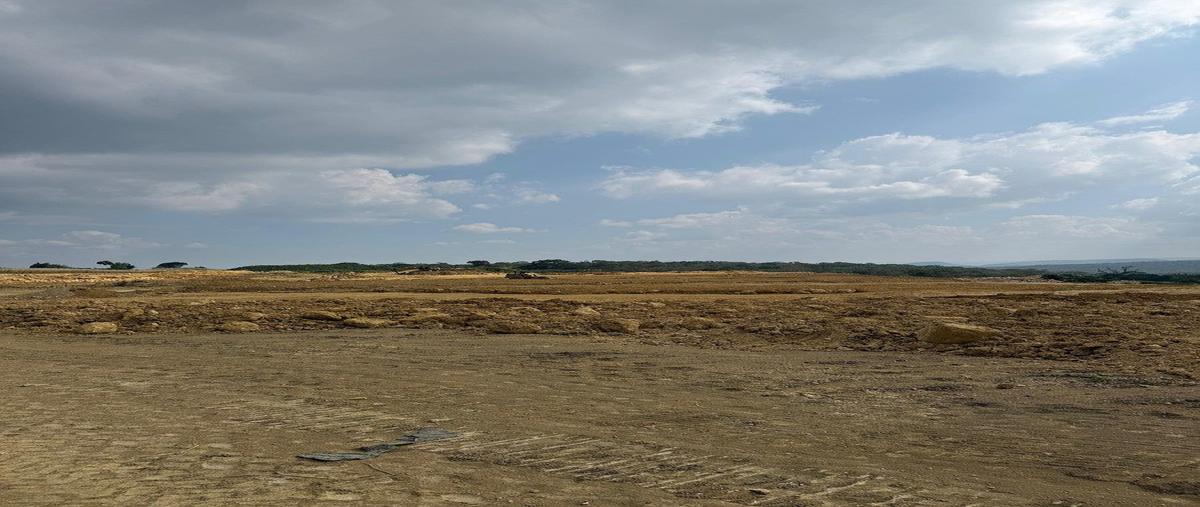 Foto de bodega en renta en carretera tapanatepec , berriozabal centro, berriozábal, chiapas, 31017568 No. 03