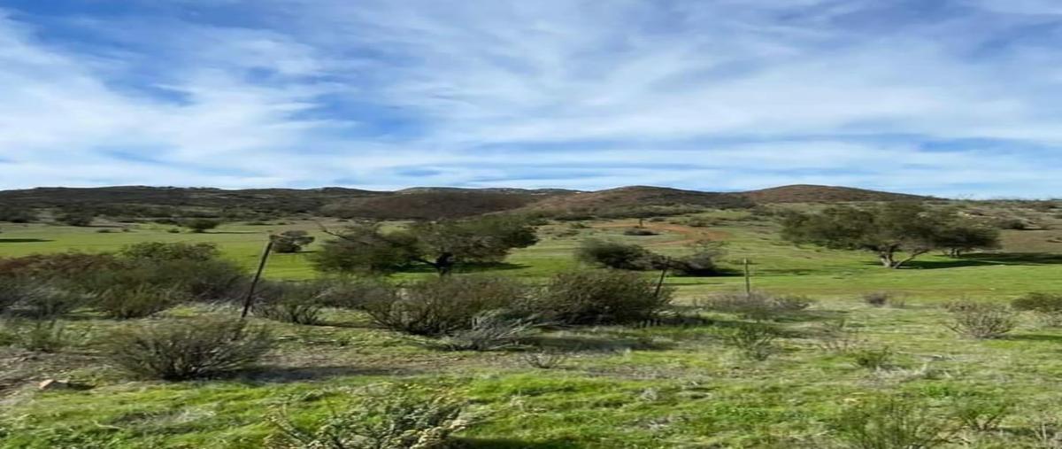Foto de terreno habitacional en venta en carretera tecate ensenada 3, 2 de septiembre, ensenada, baja california, 0 No. 04
