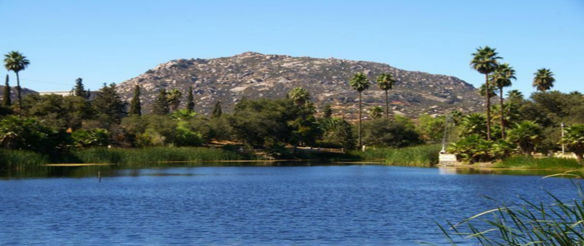 Foto de terreno habitacional en venta en carretera tecate ensenada kilometro 10 , tecate, tecate, baja california, 14600708 No. 06
