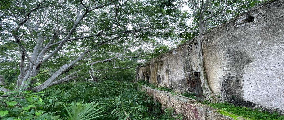 Foto de terreno habitacional en carretera tecoh a chinkila , tecoh, tecoh, yucatán, 29234070 foto 02 Foto de terreno habitacional en venta en carretera tecoh a chinkila , tecoh, tecoh, yucatán, 29234070 No. 02