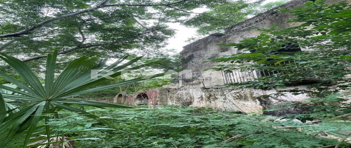 Foto de terreno habitacional en venta en carretera tecoh a chinkila , tecoh, tecoh, yucatán, 0 No. 04