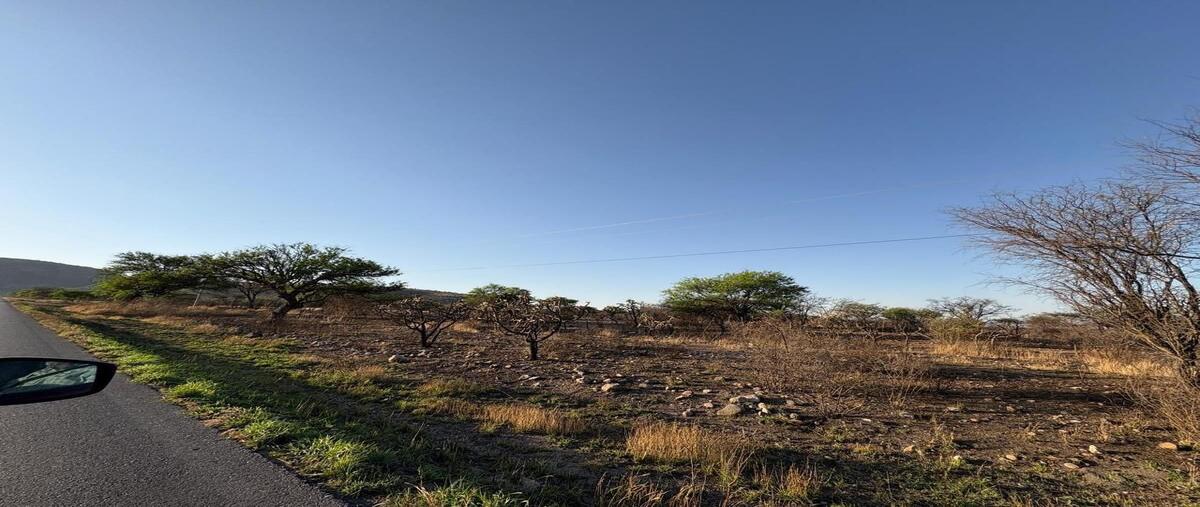 Foto de terreno industrial en venta en carretera tecozautla - san joaquin , el mercader, tecozautla, hidalgo, 0 No. 03