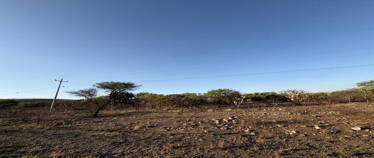 Foto de terreno industrial en venta en carretera tecozautla - san joaquin , el mercader, tecozautla, hidalgo, 0 No. 04