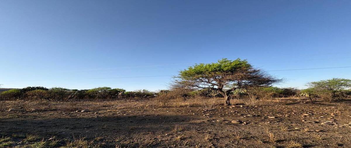 Foto de terreno industrial en venta en carretera tecozautla - san joaquin , el mercader, tecozautla, hidalgo, 0 No. 05