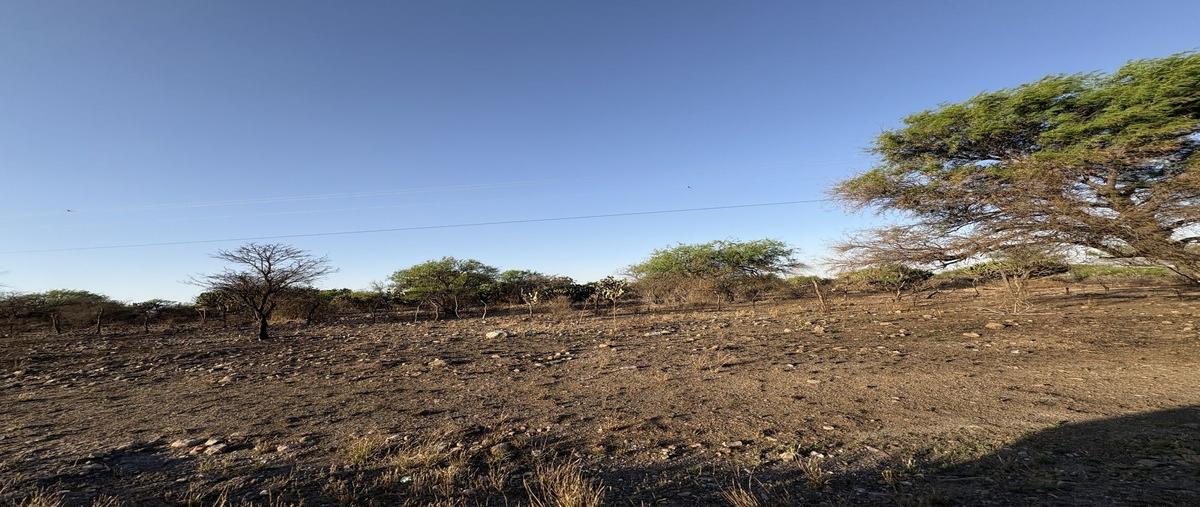 Foto de terreno industrial en venta en carretera tecozautla - san joaquin , el mercader, tecozautla, hidalgo, 0 No. 04