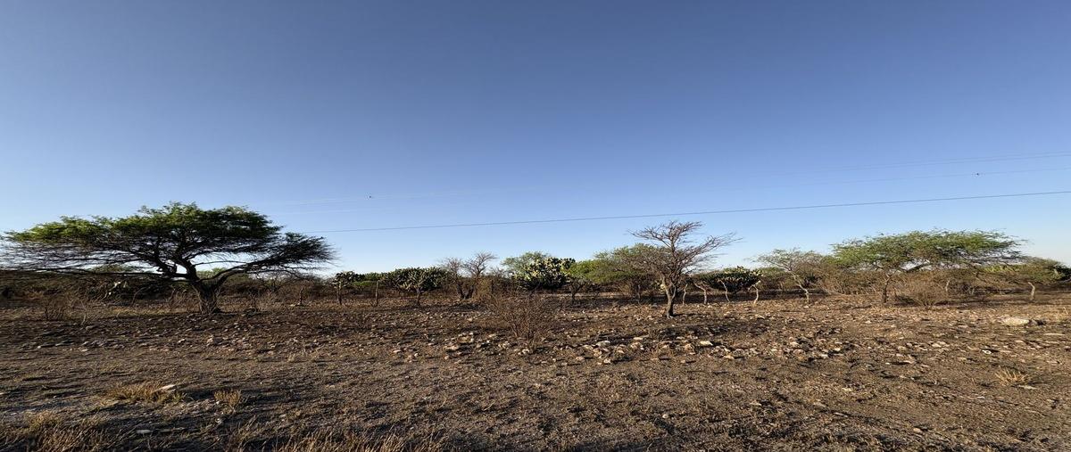 Foto de terreno industrial en venta en carretera tecozautla - san joaquin , el mercader, tecozautla, hidalgo, 0 No. 05