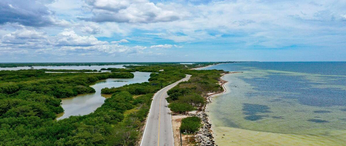 Foto de terreno habitacional en venta en carretera telchac santa clara , santa clara, dzidzantún, yucatán, 0 No. 03