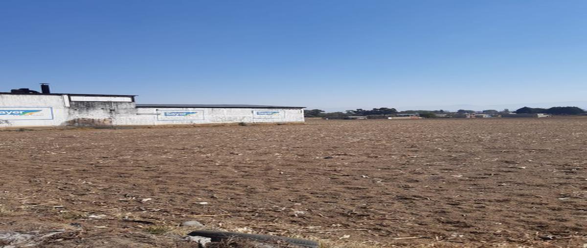 Foto de terreno habitacional en venta en carretera tenango toluca , el calvario tepanuaya, mexicaltzingo, méxico, 26108008 No. 04