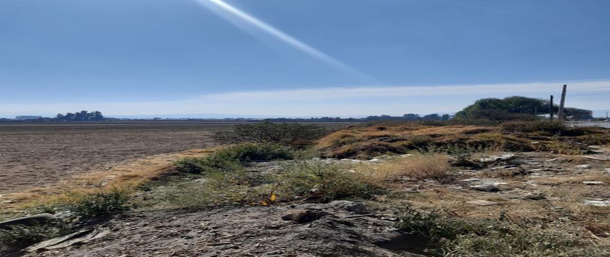 Foto de terreno habitacional en venta en carretera tenango toluca , el calvario tepanuaya, mexicaltzingo, méxico, 26108008 No. 05