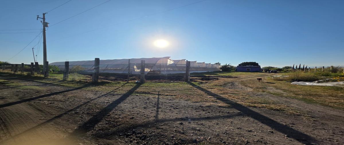 Foto de terreno habitacional en venta en carretera tenextepec brecha , la trinidad tepango, atlixco, puebla, 30634433 No. 03