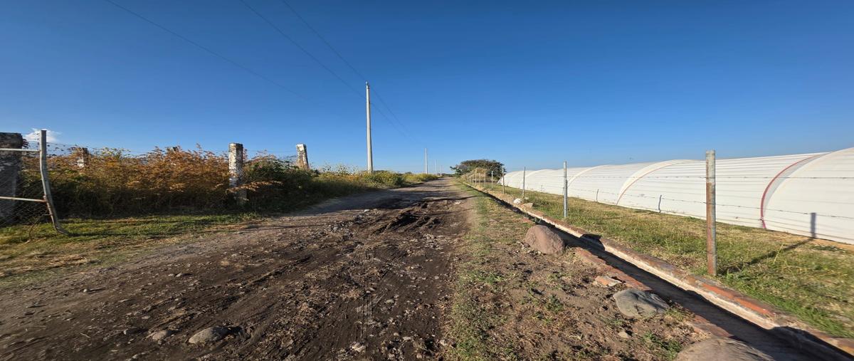 Foto de terreno habitacional en venta en carretera tenextepec brecha , la trinidad tepango, atlixco, puebla, 30634433 No. 05