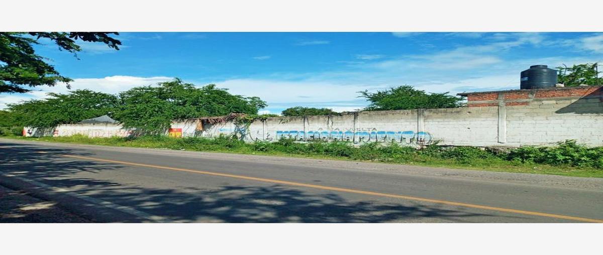 Foto de terreno habitacional en venta en carretera , tepalcingo, tepalcingo, morelos, 16136486 No. 01